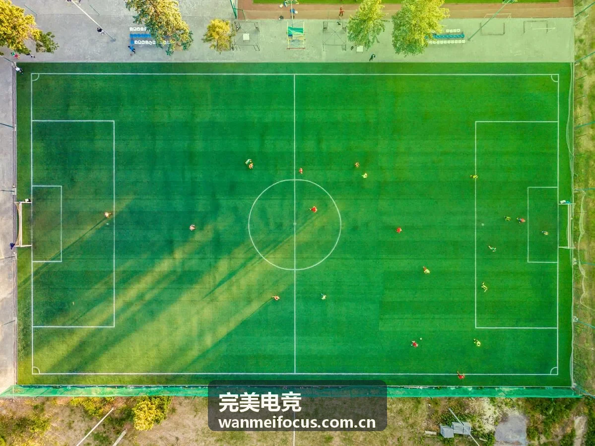 完美电竞冠军队伍专题封面
